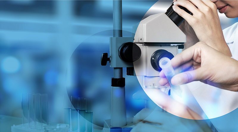 startup portuguesa contra o cancro 01